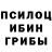 Псилоцибиновые грибы мухоморы Wqqr