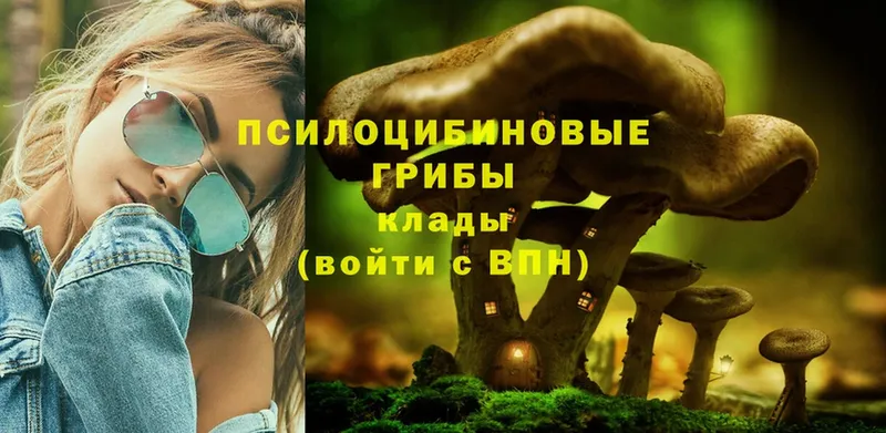 Галлюциногенные грибы MAGIC MUSHROOMS  закладка  Оленегорск 