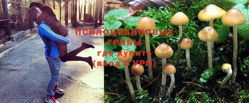 Псилоцибиновые грибы MAGIC MUSHROOMS Оленегорск